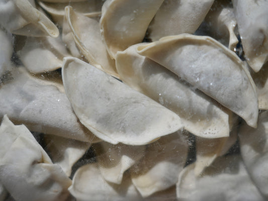 【試作品サンプル】西多摩餃子（100個入）