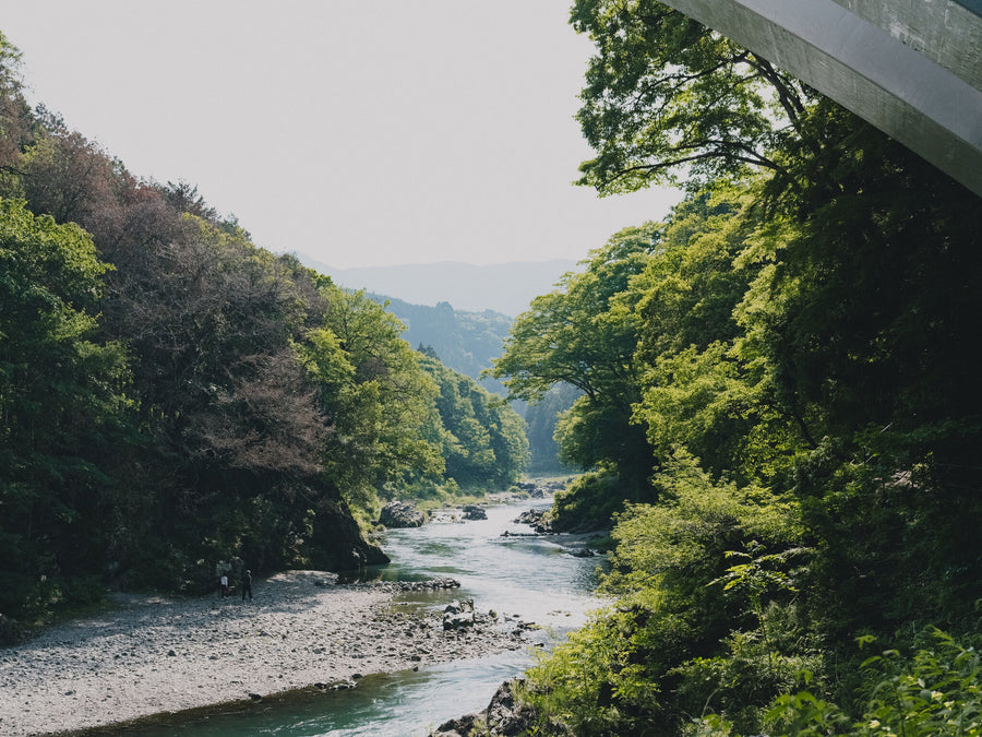 緑の渓谷を流れる川