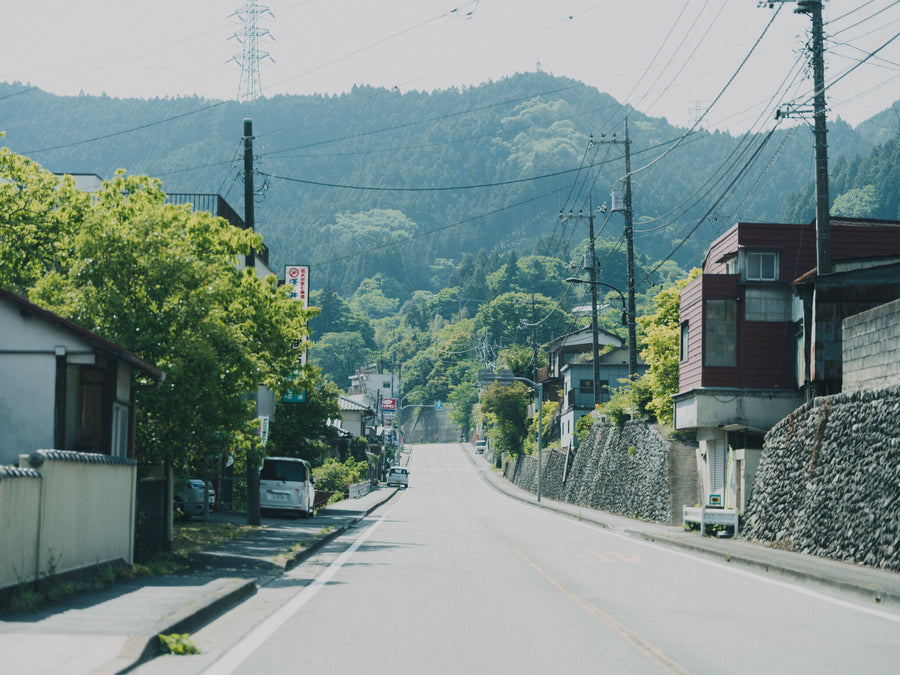 山を背景にした西多摩の集落の坂道